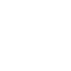 AlaiSecure - Icono