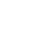 AlaiSecure - Icono