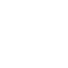 AlaiSecure - Icono