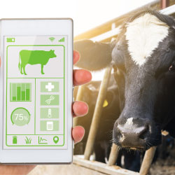 AlaiSecrue - Verticales: Agricultura y Ganadería