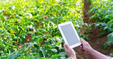 Agricultura de Precisión e IoT: Beneficios