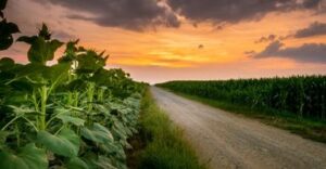 alaisecure-blog-presion-atmosférica